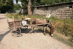 Kachreti Georgia, Donkey Cart